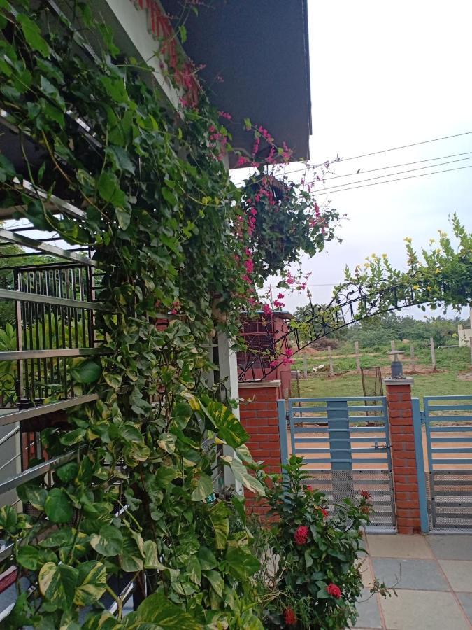 Mango Tree Homestay Hampi Exterior foto